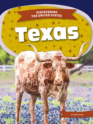 cover image of Texas